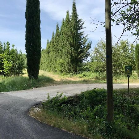 Le Jardin D'Erables St Remy 7 Ha Piscine/Clim Villa Paluds de Noves Екстериор снимка