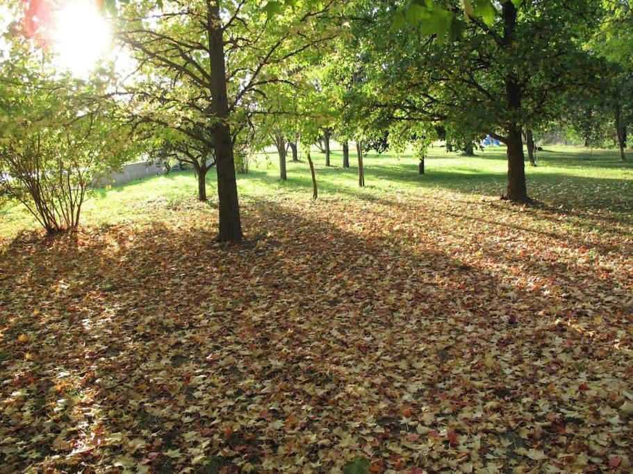 Le Jardin D'Erables St Remy 7 Ha Piscine/Clim Villa Paluds de Noves Екстериор снимка