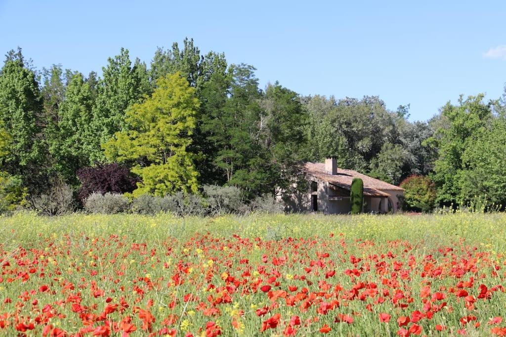 Le Jardin D'Erables St Remy 7 Ha Piscine/Clim Villa Paluds de Noves Екстериор снимка