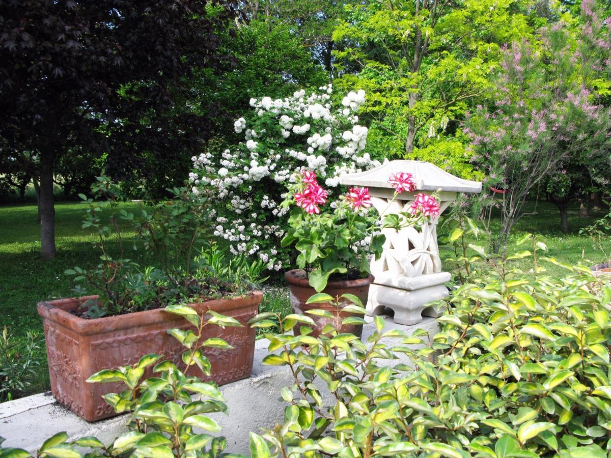 Le Jardin D'Erables St Remy 7 Ha Piscine/Clim Villa Paluds de Noves Екстериор снимка
