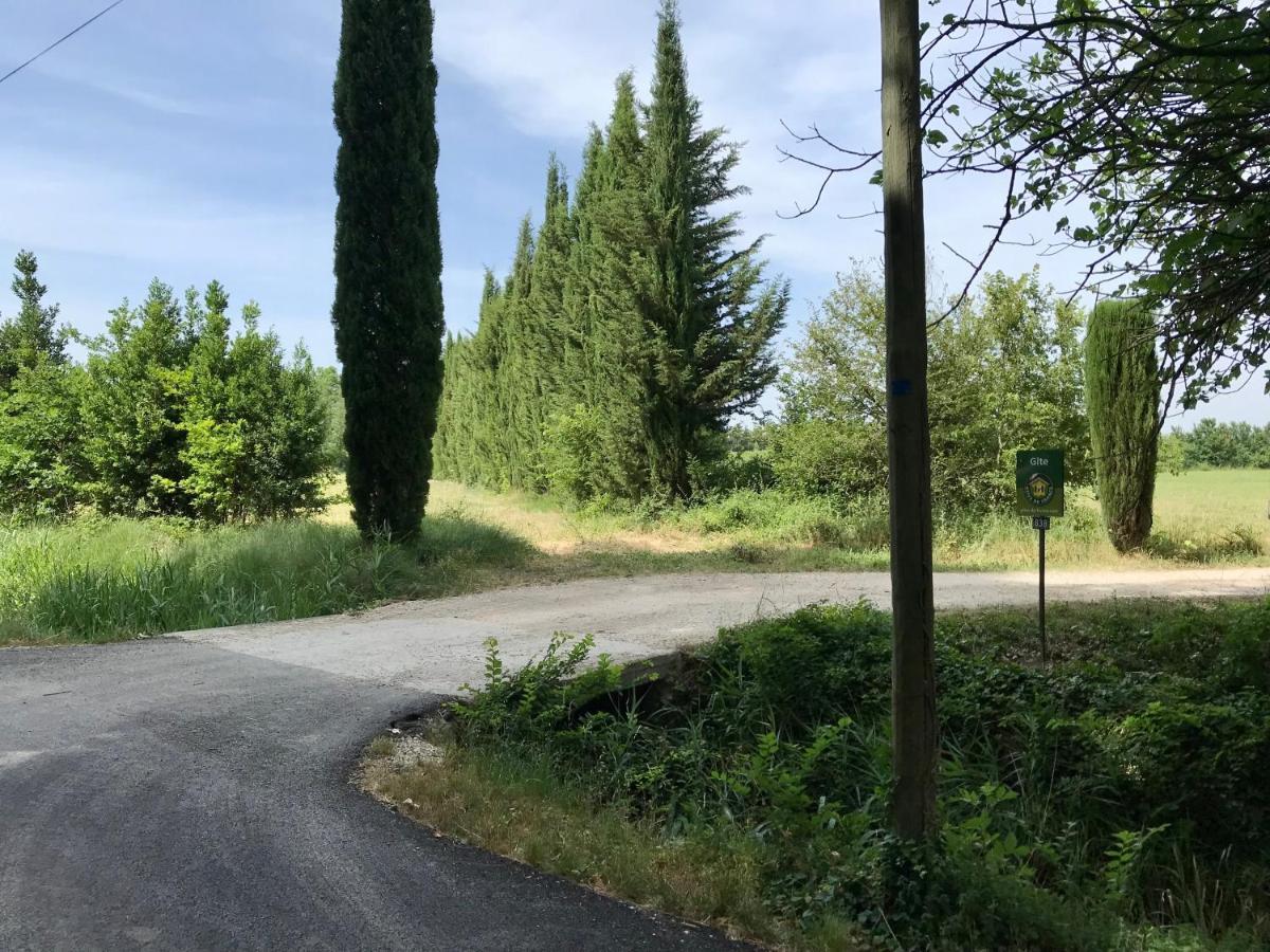Le Jardin D'Erables St Remy 7 Ha Piscine/Clim Villa Paluds de Noves Екстериор снимка
